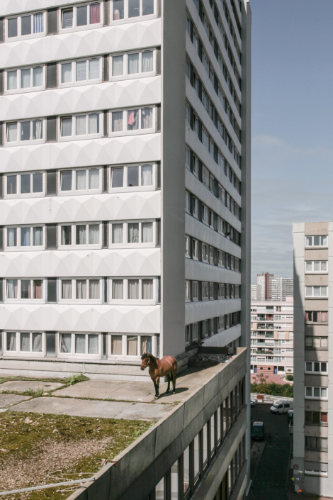 cheval-toit-hlm-manolo-mylonas-photographie-banlieue-paris-paysage-urbain-humain-seine-saint-denis